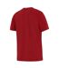 T-shirt Motif/style British & Irish Lions Homme Rouge Blanc Nike-2