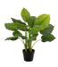 Plante Artificielle en Pot Pothos 55cm Vert-1
