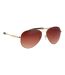 Mens Darwin Double Bridge Sunglasses One Size Gold Silver Bloc-2