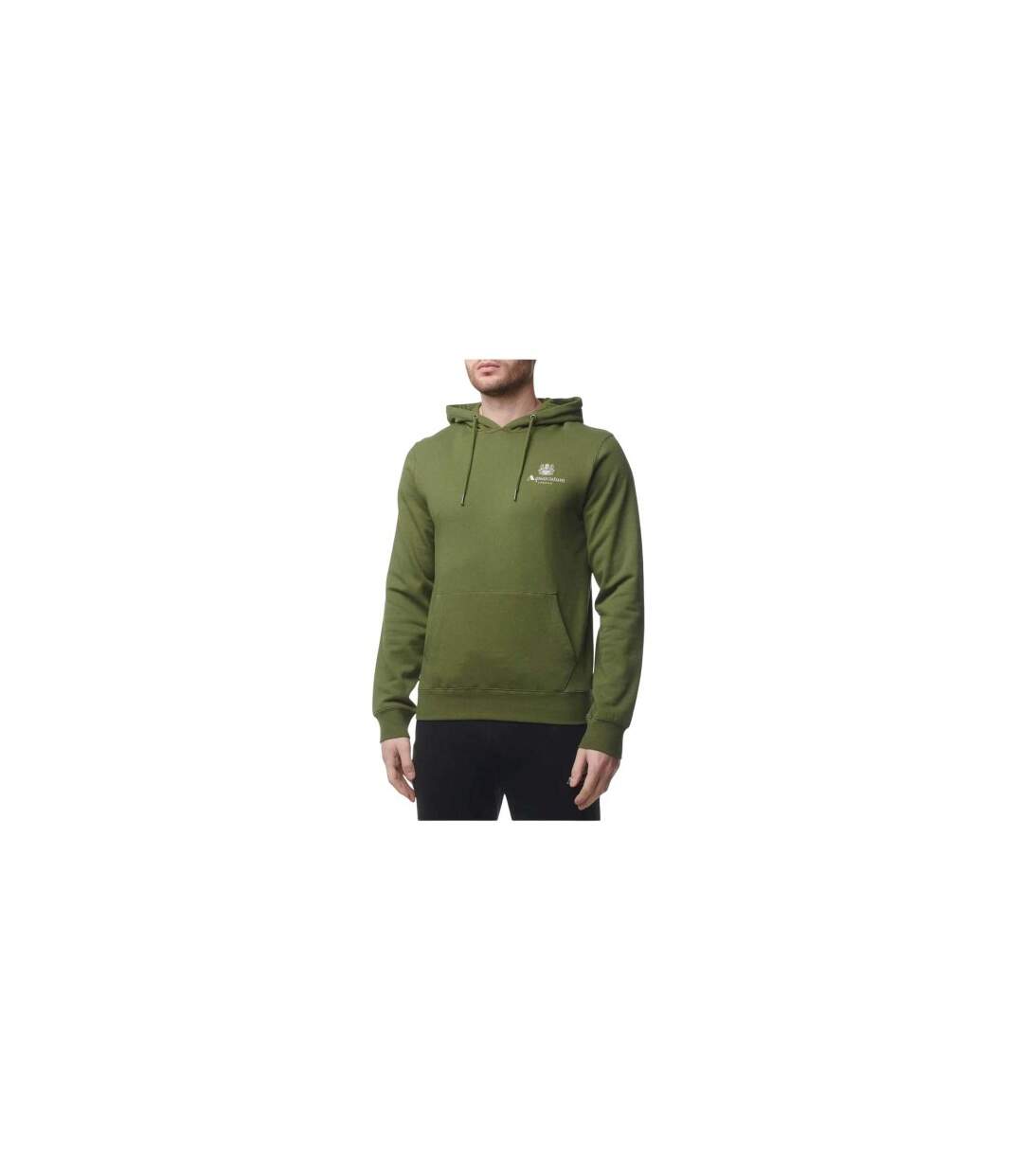 Mens Active Big Logo Hoodie Green Aquascutum-1