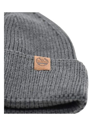 Bonnet Hiver Adulte Gris Six Peaks