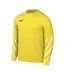Maillot De Gardien De But Manches Longues Park Homme Jaune Nike-1