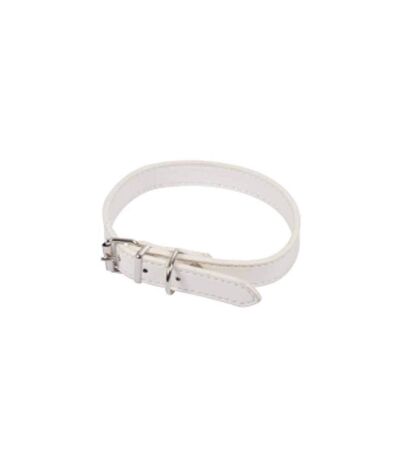 Collier pour Chien Design Uni 40cm Blanc