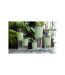 Paris Prix - Vase Déco En Verre delph 70cm Transparent & Vert