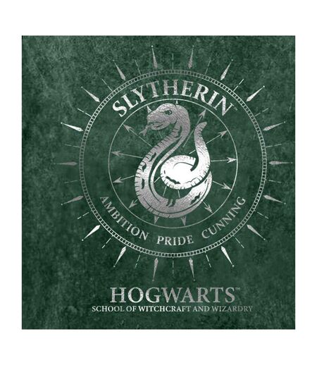 Harry Potter Womens/Ladies Slytherin Constellations Acid Wash T-Shirt (Green) - UTHE661