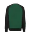 Mens Witten Unique Sweatshirt Green Black Mascot-2