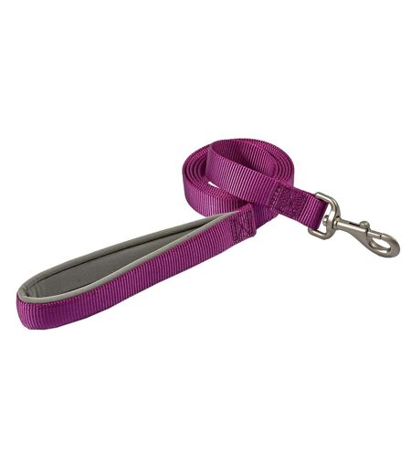 Viva padded dog slip lead 1m x 19mm purple Ancol