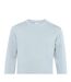 Sweat king homme bleu ciel pur B&C-2