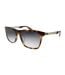 Lunettes De Soleil Motif/style Fumé Dégradé Homme Taille Unique Marron Sombre BMW-1