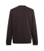 Sweat Motif/style Petit Logo Homme Marron Lacoste-3