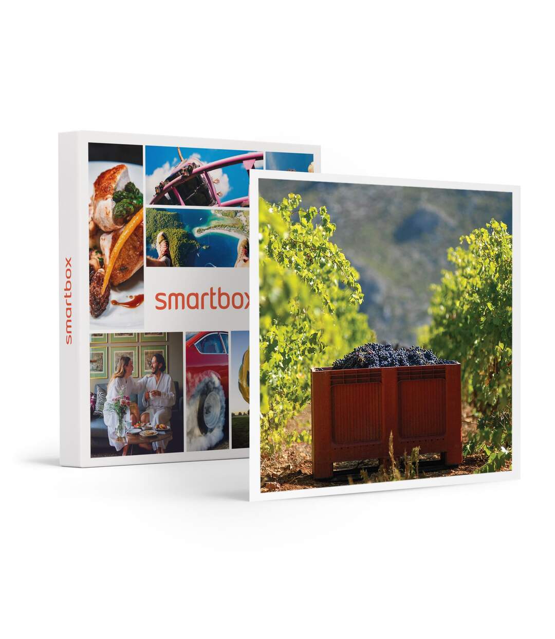 Atelier Initiation et Dégustation Vin Biologique dans un domaine viticole - SMARTBOX - Coffret Cadeau Gastronomie