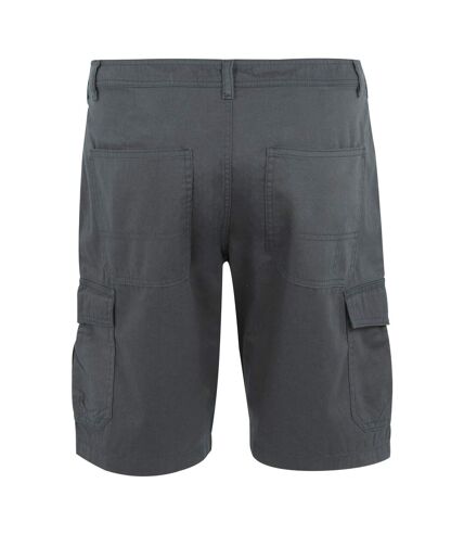 Short décontracté ruwan homme gris phoque Regatta