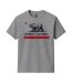 T-shirt Motif/style Imprimé Graphique Old Flag Homme Gris Chiné Republic Of California-1