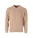Sweat beige violet homme tommy hilfiger reg flag crew-1