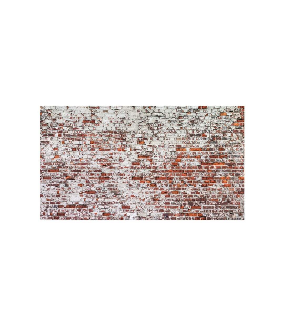 Papier Peint XXL Echo of Time 280x500cm-2