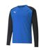 Mens Teamliga Long-sleeved T-shirt Electric Blue Black Puma-1