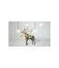 Papier Peint Cerf 3D 270x450cm-2