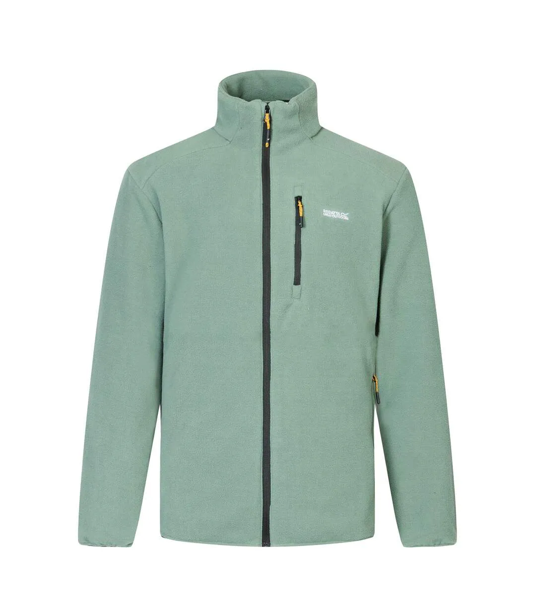 Polaire Brinnden Homme Vert Forêt Foncé Regatta-2