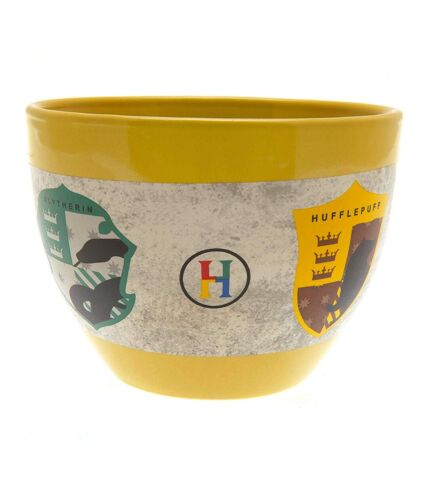 Harry Potter Hogwarts Houses Handleless Mug (Multicolored) (One Size) - UTTA9200