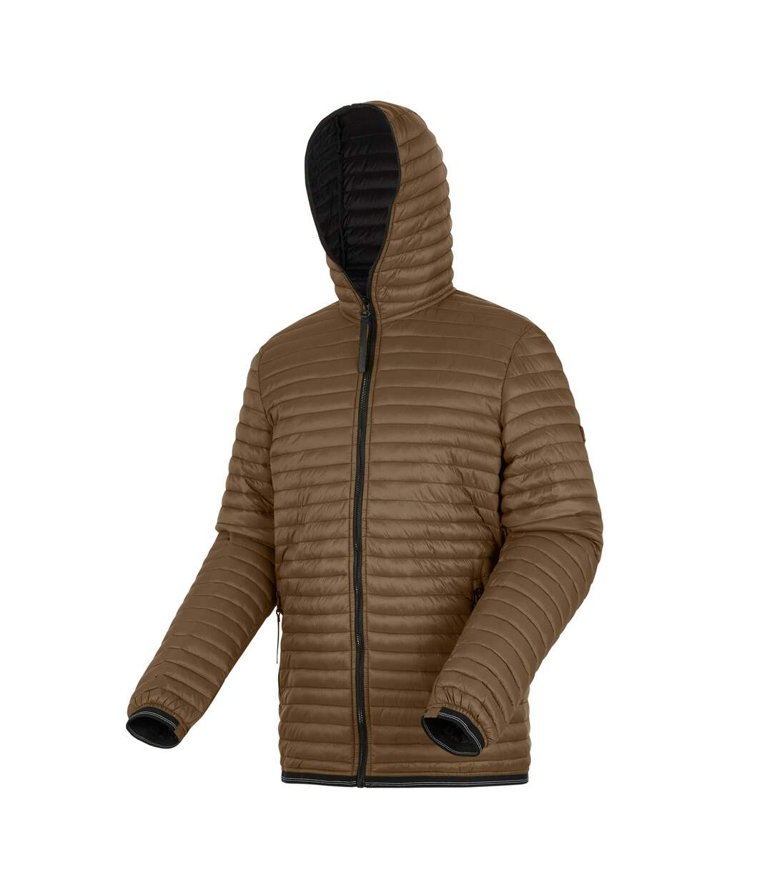 Doudoune Matelassée Rigain Homme Marron Noir Regatta-4
