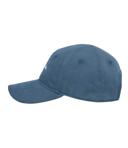 Unisex Adult Logo Twill Cap Blue Calvin Klein
