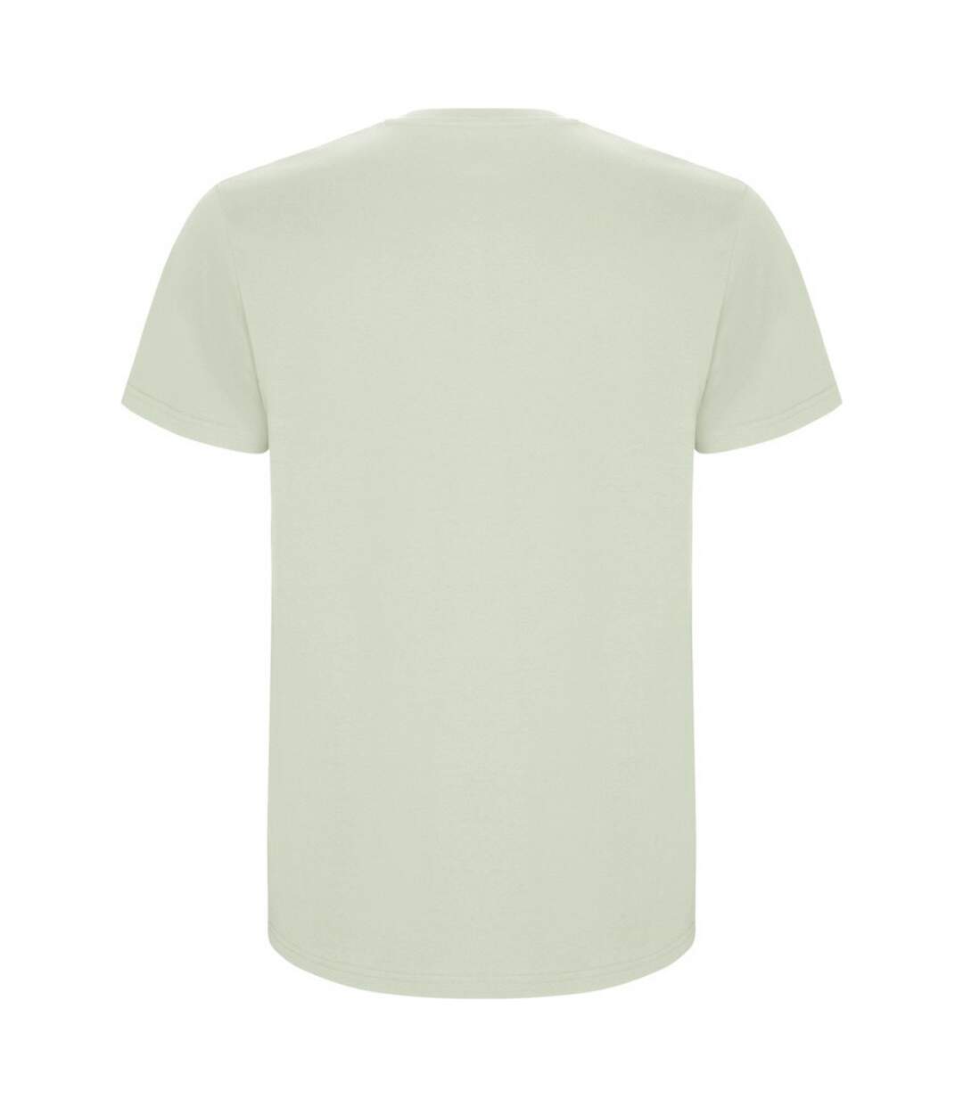 T-shirt stafford homme vert brume Roly