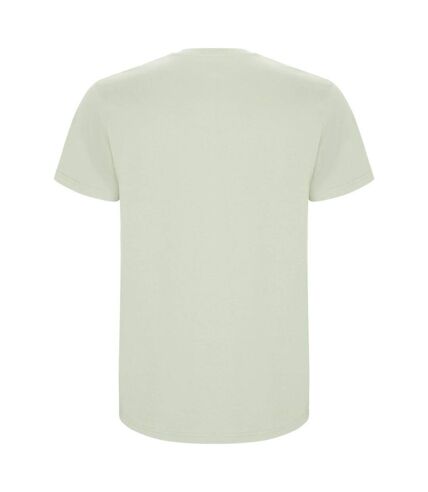 Mens stafford t-shirt mist green Roly