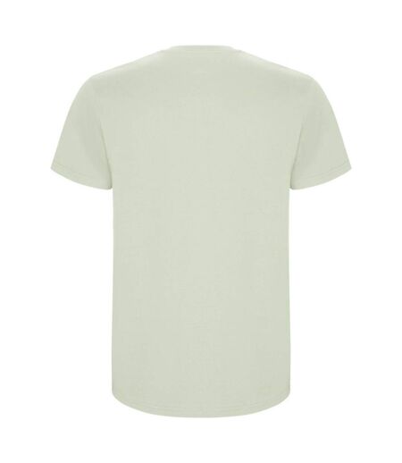 Mens stafford t-shirt mist green Roly