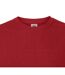 Fruit Of The Loom Mens Ringspun Premium Tshirt (Red)