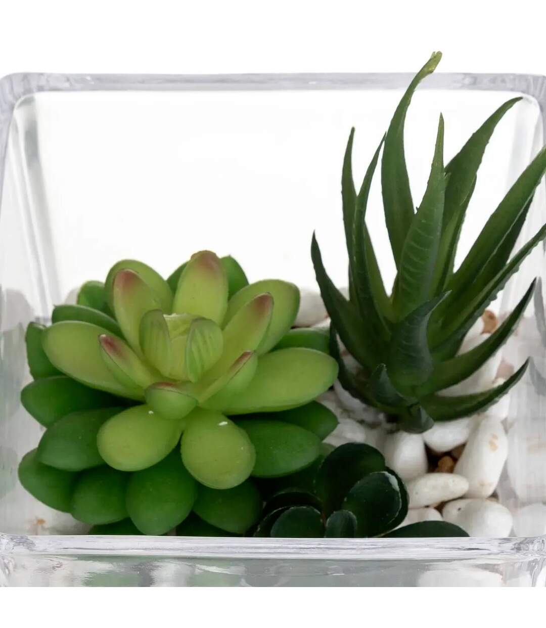 Composition Plante Artificielle 15cm Transparent-2