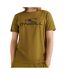 T-shirt Marron Homme O'Neill N2850012