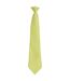 Premier - Cravate COLOURS FASHION - Adulte (Vert clair) (Taille unique) - UTPC6753