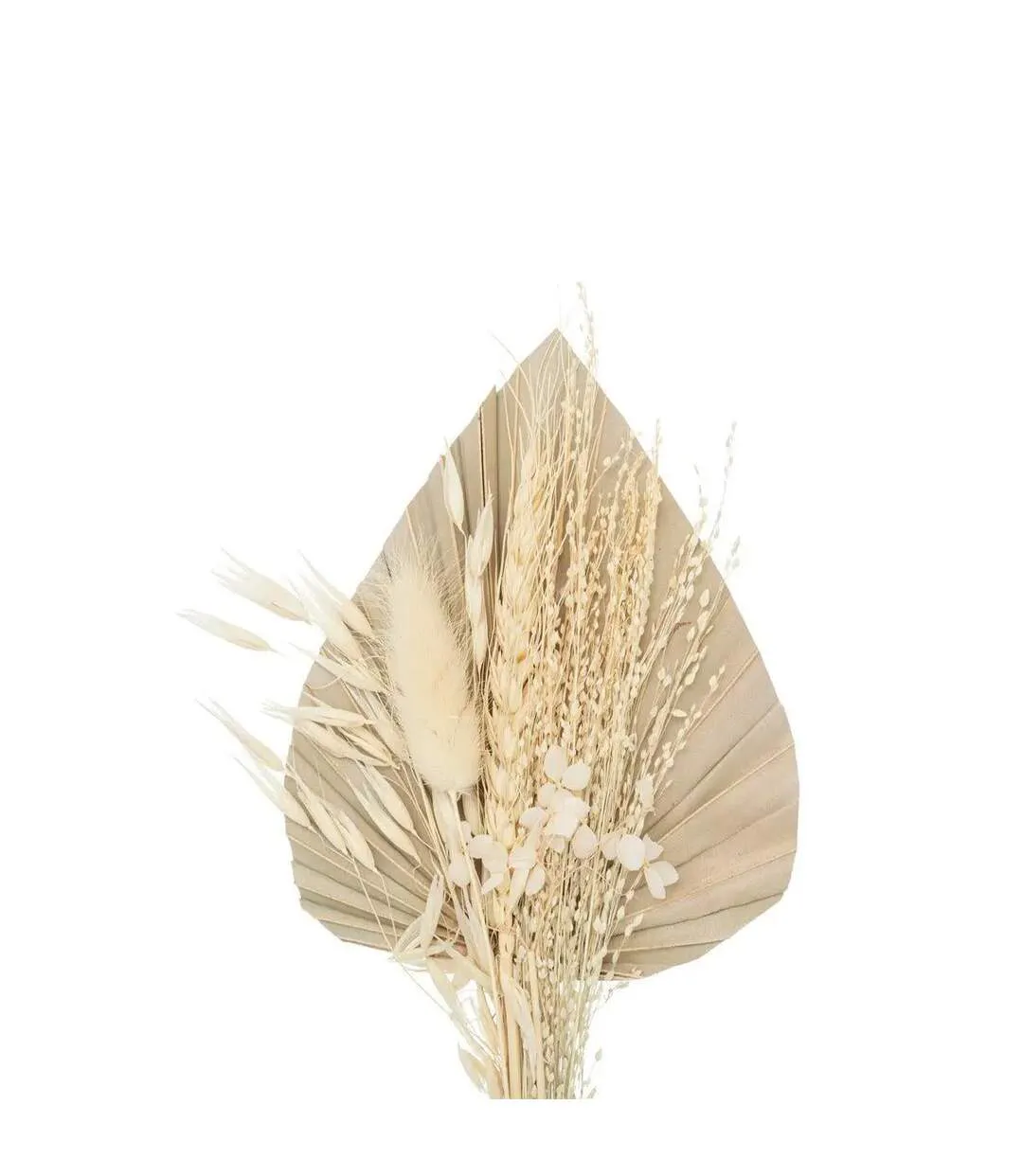 Mini Bouquet de Fleurs Naturelles Seav 30cm Beige-2