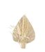 Mini Bouquet de Fleurs Naturelles Seav 30cm Beige-2