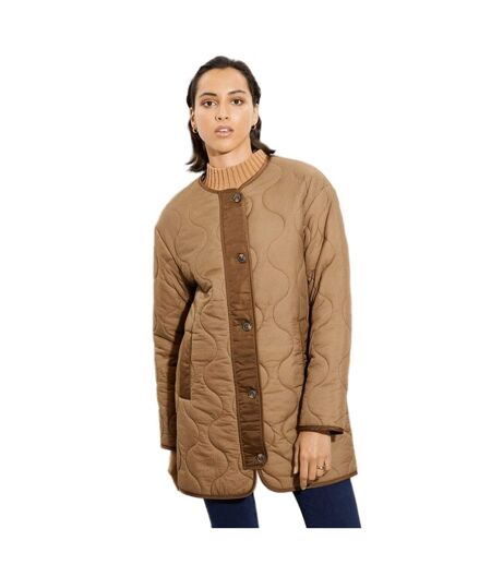 Womens/ladies collarless tall padded jacket chocolate Dorothy Perkins