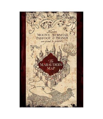 Harry Potter - Poster (Marron / Beige) (Taille unique) - UTPM3281