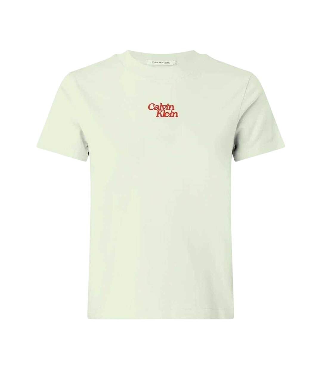 Womens/ladies Flock Print Crew Neck Short-sleeved T-shirt Mint Green Calvin Klein-1