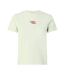 Womens/ladies Flock Print Crew Neck Short-sleeved T-shirt Mint Green Calvin Klein-1