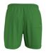 Short De Bain Motif/style Logo Homme Vert Calvin Klein-2