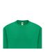 Fruit Of The Loom - Sweat - Homme (Vert chiné) - UTBC365