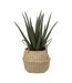 Plante Artificielle & Pot Aloe Vera 37cm Vert-1