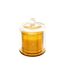 Bougie Parfumée Cloche Ilae 240g Vanille Exotique-1
