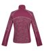 Regatta Womens/Ladies Lindalla IV Lightweight Fleece Jacket (Amaranth Haze) - UTRG7994