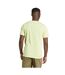 T-shirt Train Essentials Seasonal Homme Vert Clair Argenté Adidas-3