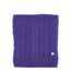 HyFASHION Snood en tricot torsadé pour adultes Meribel (Violet) (One Size) - UTBZ858
