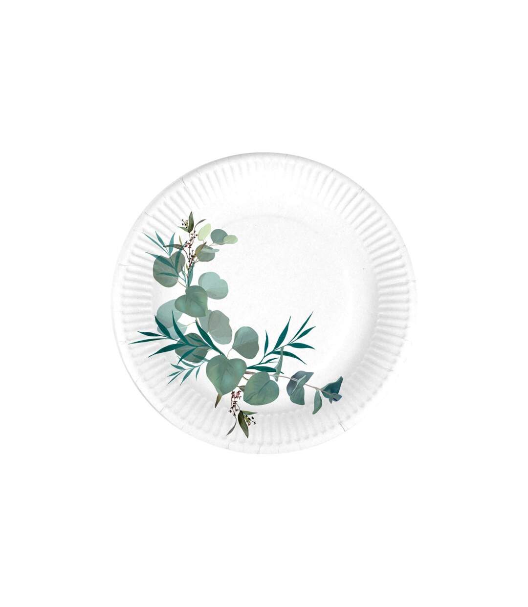 Lot de 10 Assiettes en Carton Eucalyptus 18cm Blanc-1