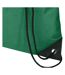 Evergreen Recycled 5l Plain Drawstring Bag One Size Green Generic-2