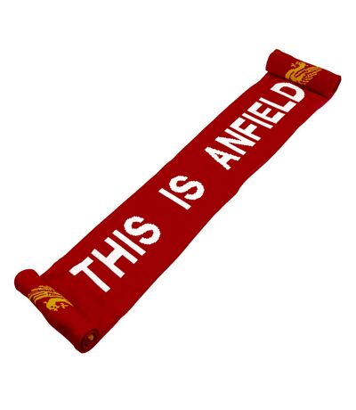 Liverpool FC This Is Anfield Scarf (Red/White/Yellow) (One Size)