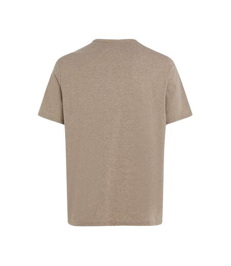 T-shirt Taupe Homme Calvin Klein 000NM2423E