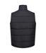 Veste Sans Manches Altoona Homme Noir Regatta-2